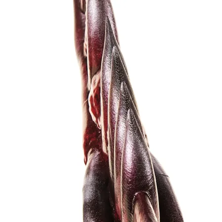 Reduvia Replica Prop From Elden Rune By Blasters4Masters 4