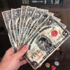 NCR Dollar Bill Bundle – Fallout New Vegas