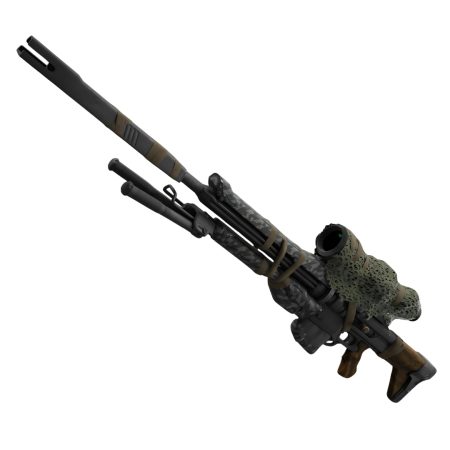 Customer Order | Patience&Time - Destiny | +Removable mag, + See through scope