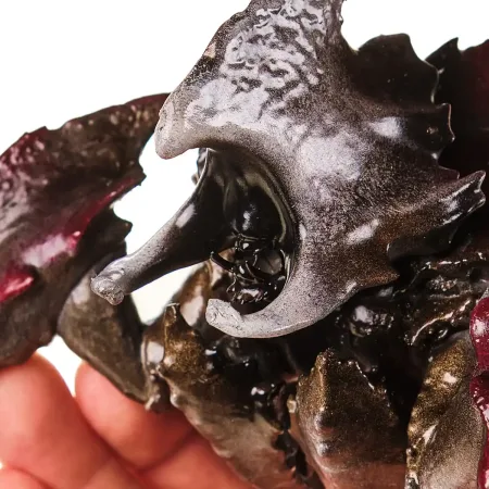 Charger Replica Prop From Helldivers 2 By Blasters4Masters 5