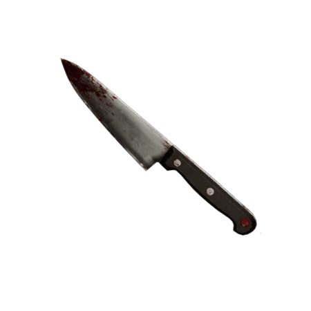 Chef's Knife from Dead by Daylight by blasters4masters