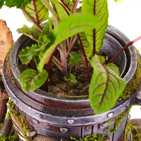 The Emperor’s Herb Garden 6 Warhammer Cup Flower Pot Replica Prop From Warhammer 40K By Blasters4Masters 5